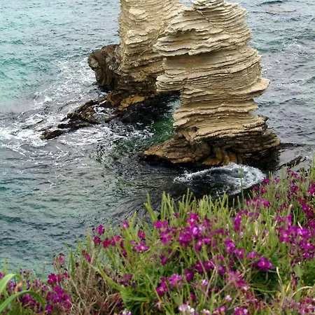 Bed & Breakfast Garden Terrasini